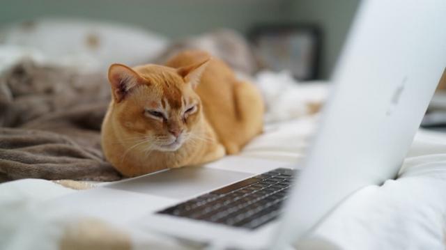 Deciding Which Blog Posts Can Be Repurposed