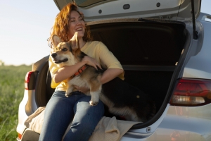 Health and safety tips for traveling with pets Health and safety tips for traveling with pets