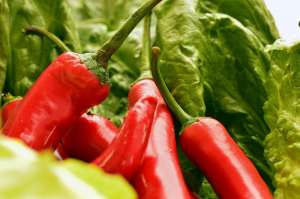 The Health Benefits of Gochugaru Pepper: Why It’s More Than Just Spice The Health Benefits of Gochugaru Pepper: Why It’s More Than Just Spice