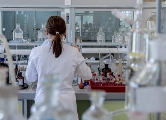 endocrine system endocrine system